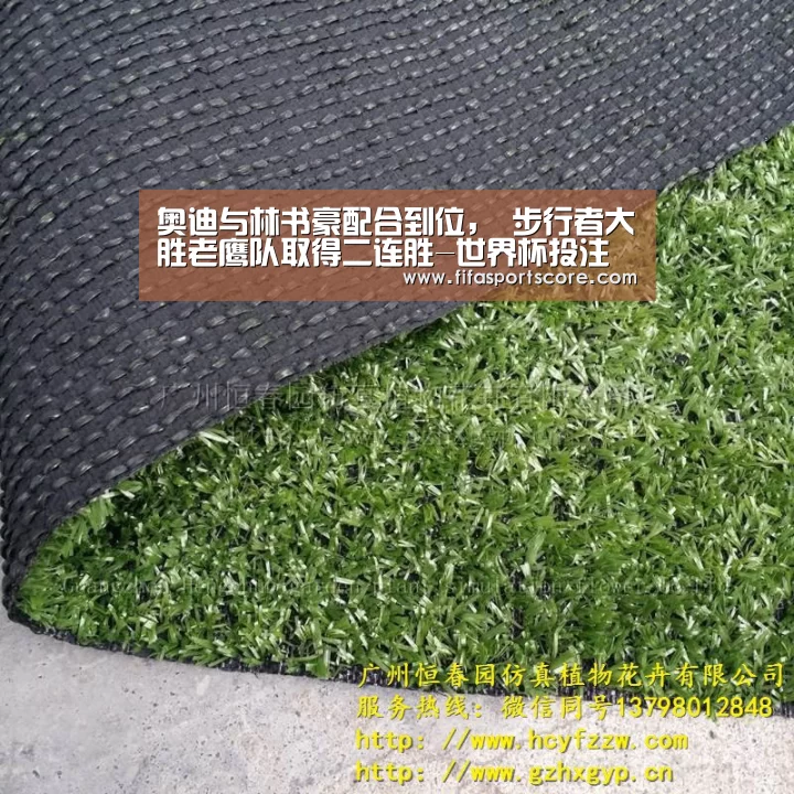 2026世界杯